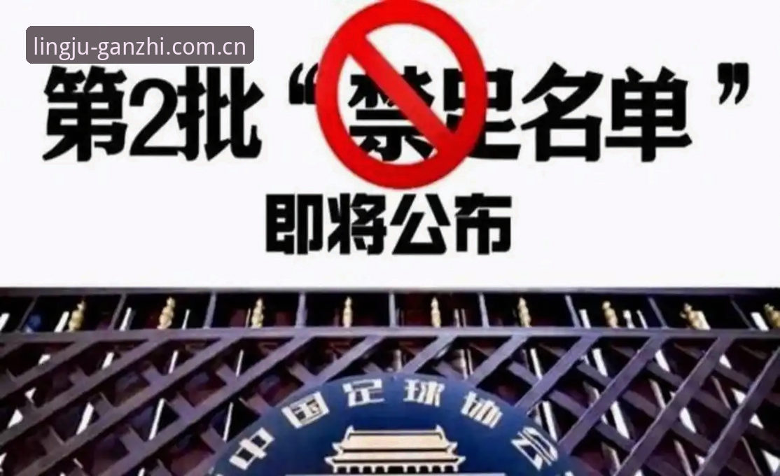 足协第三批禁足名单深度评测：用亚星中国安卓版攻略读懂17人终身禁足与48人处罚